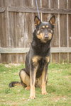Roxy 0490