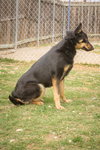 Roxy 0490