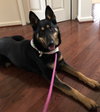 Roxy 0490