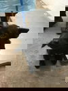 Jax 0520