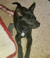 Jax 0520