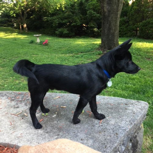Jax 0520