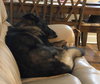 Duke 0549