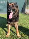 Tracker 0573