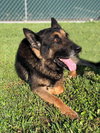 Tracker 0573