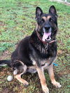 Tracker 0573