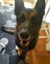 Tracker 0573