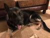 Tracker 0573