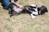 Bonnie 0578