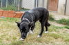 Bonnie 0578