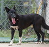 Bonnie 0578