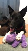 Bonnie 0578