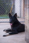 Achilles 0607