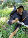 Xena 0624