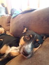 Xena 0624