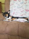 Xena 0624