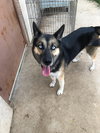 Skye 0651