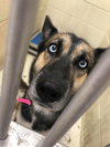 Skye 0651