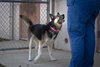 Skye 0651