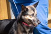Skye 0651