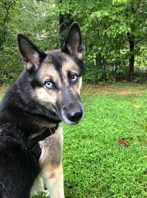 Skye 0651