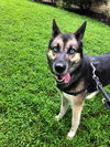 Skye 0651