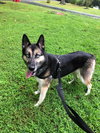 Skye 0651
