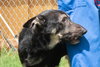 Bruce 0654