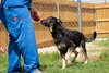 Bruce 0654