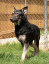 Bruce 0654