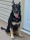 Bruce 0654