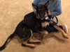 Bruce 0654