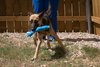 Josie 0657
