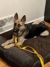 Josie 0657