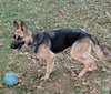 Josie 0657