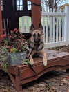Josie 0657