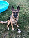 Josie 0657