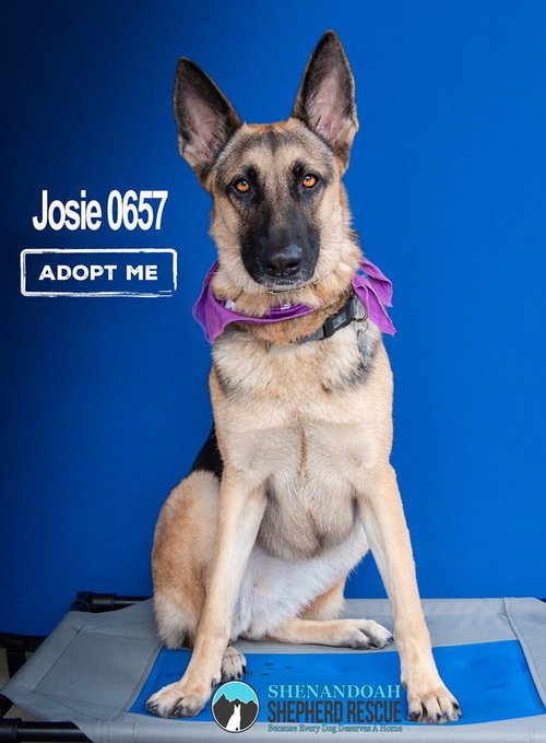 Josie 0657