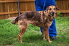 Annabelle 0663