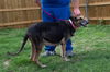 Edie 0664