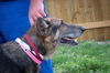 Edie 0664