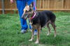 Edie 0664
