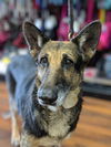 Edie 0664
