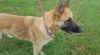 Bree 0682