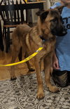 Klaus 0686