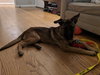 Klaus 0686