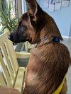 Klaus 0686