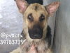 Duncan 0710