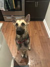 Duncan 0710