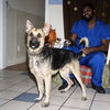 Duncan 0710